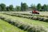 Trattrici agricole - trazione a 4 ruote SAME Tiger 65
