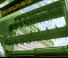 Trinciaforaggi Krone AX 310 HD