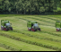 Trinciaforaggi Fendt Tigo 60 MR 