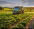 Veicoli Veicoli comunali multiuso diesel Unimog U 527 Euro 6