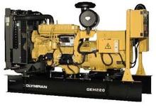 Generatori diesel Olympian GEH 220