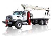 Autogru TEREX CRANES BT 3870