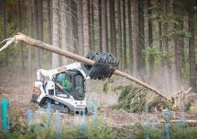 Minipale Bobcat T590