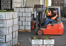 Carrelli elevatori frontali elettrici Linde E20C