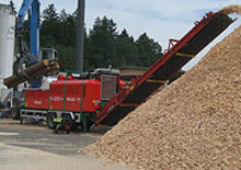 Cippatrici MUS-MAX Wood-Terminator 10 DLB