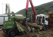Cippatrici Pezzolato PTH 1400/820