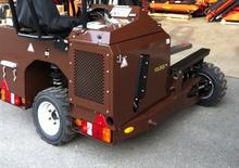 Carrelli elevatori diesel Palfinger F3 253 PX 4W