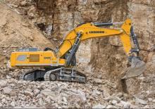 Escavatori cingolati Liebherr R 980 Demolition Litronic 