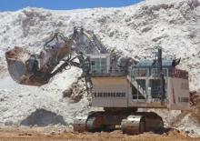 Escavatori cingolati Liebherr R 9800 G6