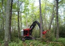 Escavatori cingolati Tanguay TG365