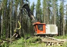 Escavatori cingolati Tanguay TG770HD