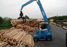 Movimentatori di materiali Terex-Fuchs MHL 434