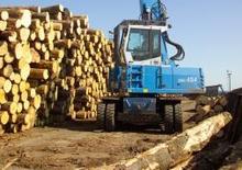 Movimentatori di materiali Terex-Fuchs MHL 454