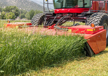 Falciatrici a dischi frontale disco con condizionatore Massey Ferguson 9313 D