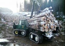 Forwarder Timberjack 1710
