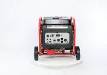 Generatori a benzina Endress ESE 8000 DBS/S ES