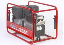 Generatori a benzina Endress ESE 804 DBS/S