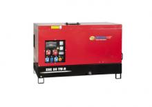 Generatori diesel Endress ESE 10 YW-B