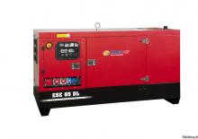 Generatori diesel Endress ESE 95 PW/MS