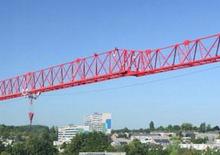 Gru a torre - rotazione alta Wilbert WT 420 e.tronic