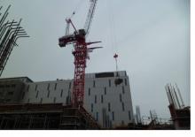 Gru a torre a braccio impennabile Raimondi LR 120