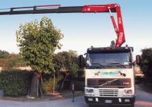 Gru per autocarro idrauliche Fassi F 190.24