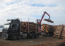 Gru per autocarro per legname Epsilon M 110 L 80
