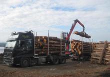 Gru per autocarro per legname Epsilon M 110 Z 79
