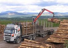 Gru per autocarro per legname Epsilon Q 150 L 83