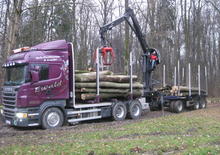 Gru per autocarro per legname Epsilon Q 150 Z 96