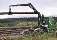 Gru per autocarro per legname Epsilon S 290 L 82 HPLS