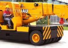 Gru semoventi industriali Valla 450 E
