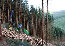 Harvester forestali John Deere 1270 E IT4
