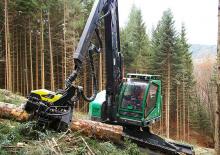 Harvester forestali Neuson Forest 243HVT