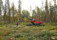 Harvester forestali Komatsu 901.4