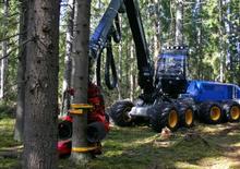 Harvester forestali Rottne H 11
