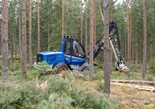 Harvester forestali Rottne H 8 B
