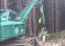 Harvester forestali Impex Königstiger T 30 Gigant