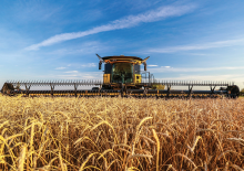 Mietitrebbie – meccanismo di taglio New Holland 880CF SuperFlex Draper