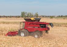 Mietitrebbie - raccoglitrici di mais Case IH CIH 4406 70