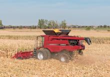 Mietitrebbie - raccoglitrici di mais Case IH CIH 4406F 75