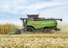 Mietitrebbie - testate per mais Fendt CornFlow 8Reihen 70cm