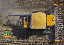 Mietitrebbie - testate per mais Valtra PM515