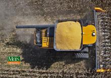 Mietitrebbie - testate per mais Valtra PM517