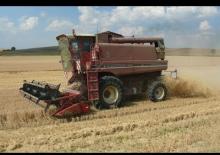 Mietitrebbie Case IH 1480
