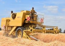 Mietitrebbie New Holland 1545