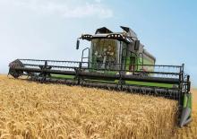 Mietitrebbie Fendt 6335 C-PL 