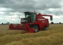 Mietitrebbie Massey Ferguson 665