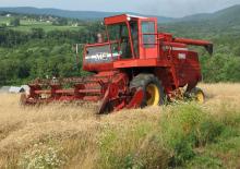 Mietitrebbie Massey Ferguson 750