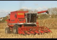 Mietitrebbie Massey Ferguson 8560 Rotary